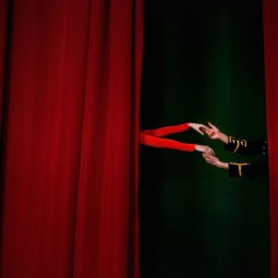 Спектакль «Дорогая Елена Сергеевна»