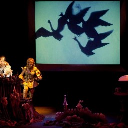 «Дикие лебеди»