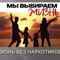 «Мир прекрасен без наркотиков»–брейн ринг