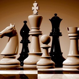 «Эстетика шахмат» - кружок любителей шахмат