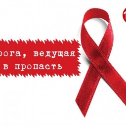 «Дорога, ведущая в пропасть»