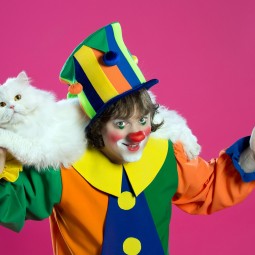 Спектакль «Кошки в городе»