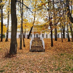 Кино под открытым небом