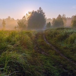 «Звуки Мелодии»