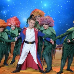 Спектакль «Маленький принц»