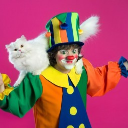 Владимир Куклачев «Волшебные кошки»