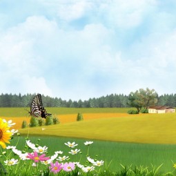 «С днем рождения, родное село!»