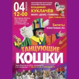 Танцующие кошки