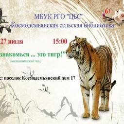 Познакомься … это тигр!