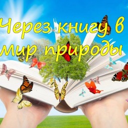 «Экологический вернисаж»-эко-медиа-журнал