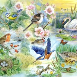 Экологическая игра «Пусть всегда поют нам птицы!»