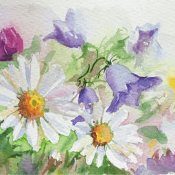 Рубрика «Рисуем вместе» «Полевые цветы» - мастер-класс по рисунку акварелью