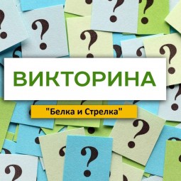 Викторина «Белка и Стрелка»