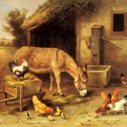 СКОТНЫЙ ЗАСТУПНИК, МОДЕСТ