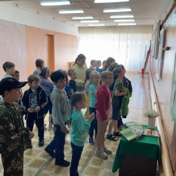 Ноябрьские звезды