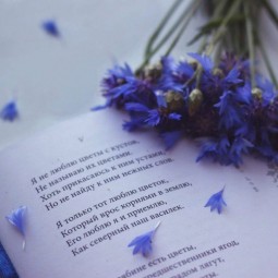 «О женщине нежные слова»