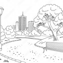 Раскраски в парке