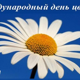Выставка «Цветы о многом говорят»