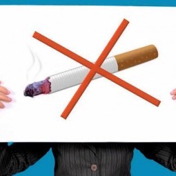 «Мир опасных пристрастий»