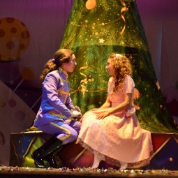 Представление «Щелкунчик»