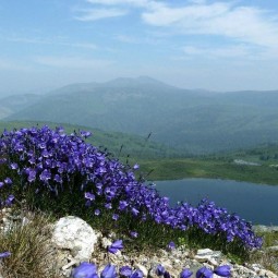 «Жемчужины природы»