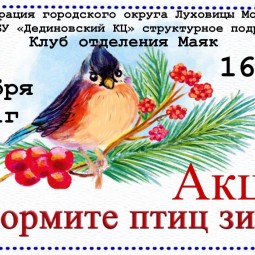 Акция «Покормите птиц зимой»