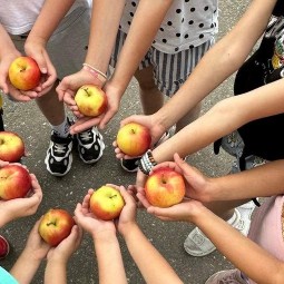 Интерактивная программа «Лето–солнышком согрето»