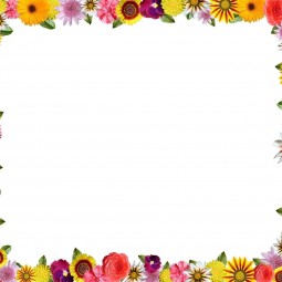 «Край родной - любимый край!»