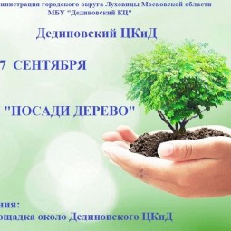 Акция «Посади дерево»