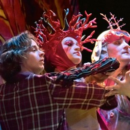 Спектакль «Полнолуние в детской»