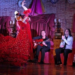 Концертная программа «Шоу испанских танцев»