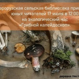Грибной калейдоскоп