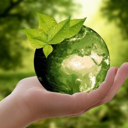 «Потомкам - чистую планету!» -экологический час-репортаж