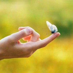 Спектакль «Счастье на ладошках»