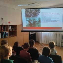 Краеведческий час патриотической направленности