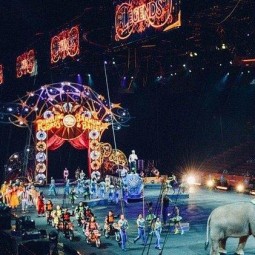 Цирковое представление «Щенячий дозор»