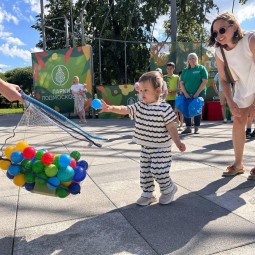 Круг друзей