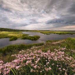 Живая история письменных приборов