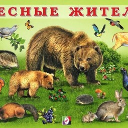 «Лесные жители»