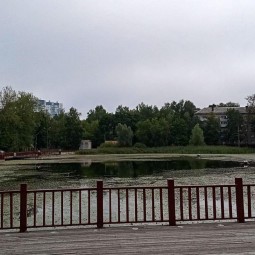 Мастер-класс «Городской пруд»