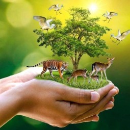 «Всемирный день дикой природы»