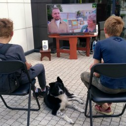 «Летний краеведческий кинозал»