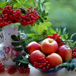 Петр и Павел Рябинники