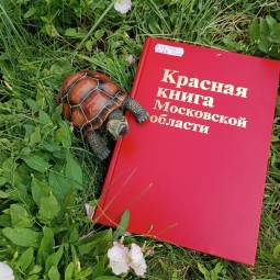 Интерактивная программа «По страницам Красной книги»