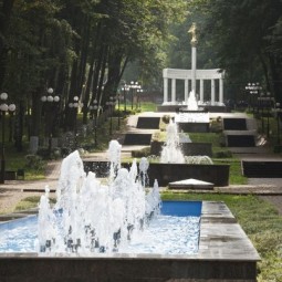 Дмитровский парк культуры и отдыха «Березовая роща»