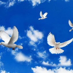 «Мы за мирное небо над головой»