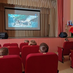 Летний кинозал. Викторина