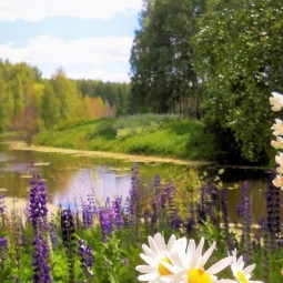 «Природа родного края»