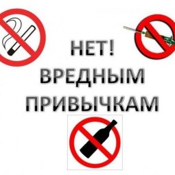 «Без привычек вредных, жить на свете здорово»