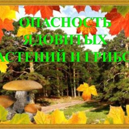 Информационно-просветительская программа «Опасность ядовитых грибов и растений»
